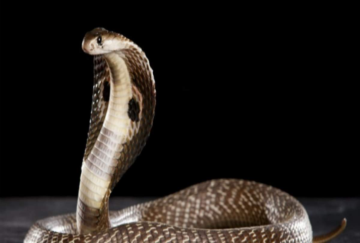 do not hang these pictures in wall in house