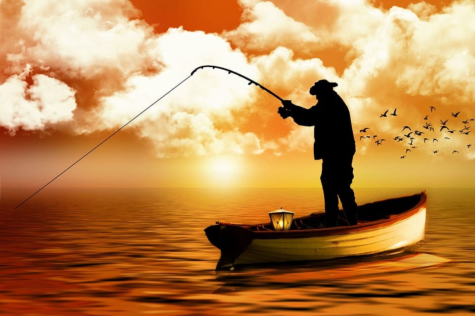 fisherman caught 18 kg jumbo bhetki fish from the ganges