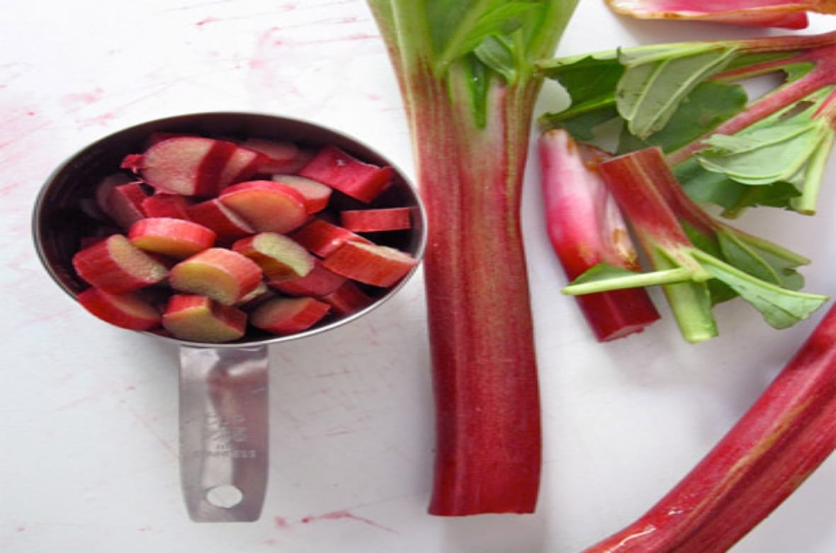 five edible things which can take life