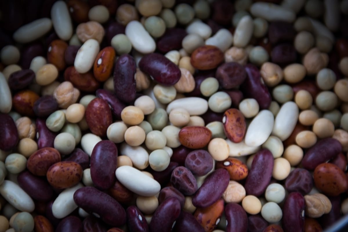 five edible things which can take life