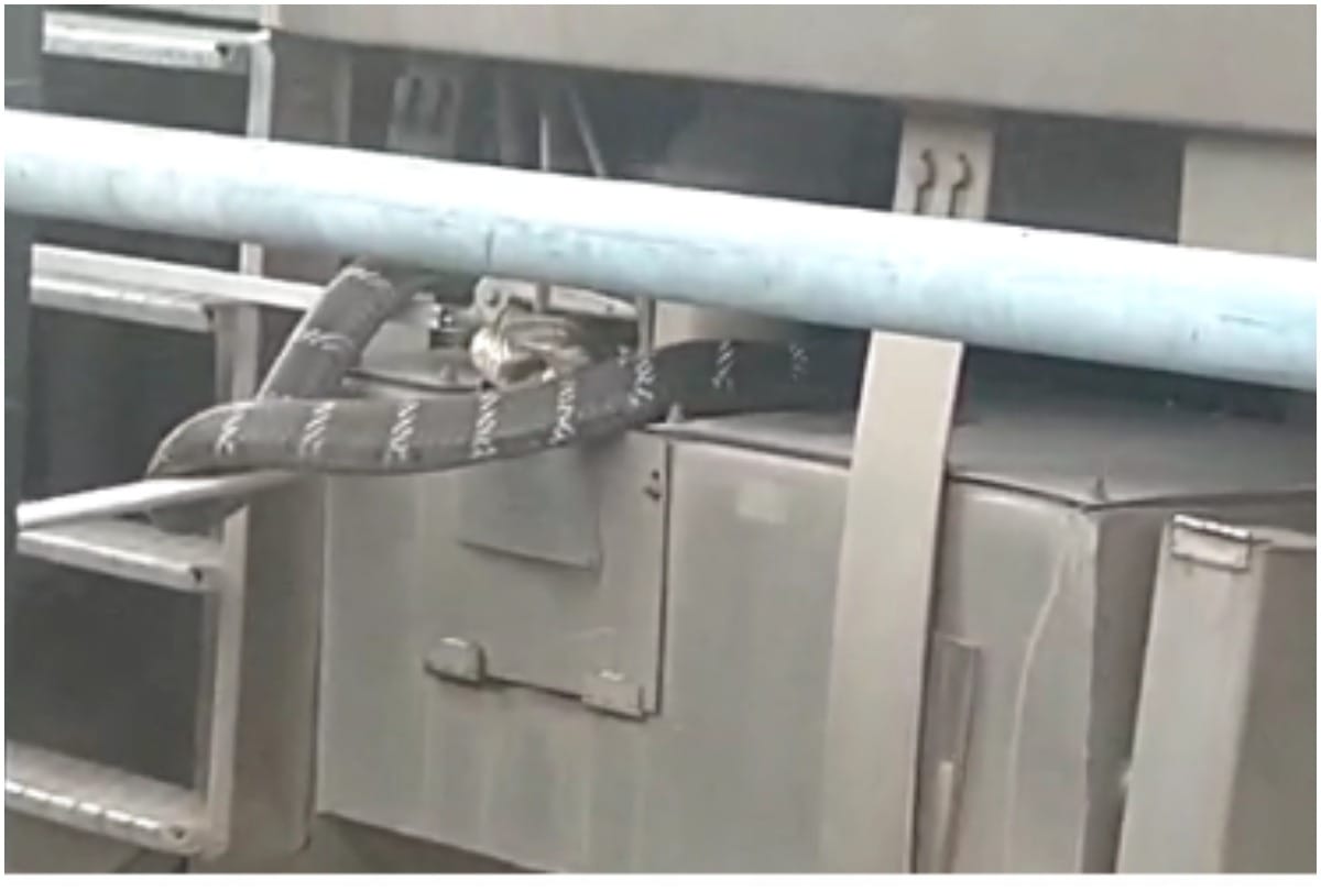 Poisonous snake found in Shatabdi Express train passengers afraid