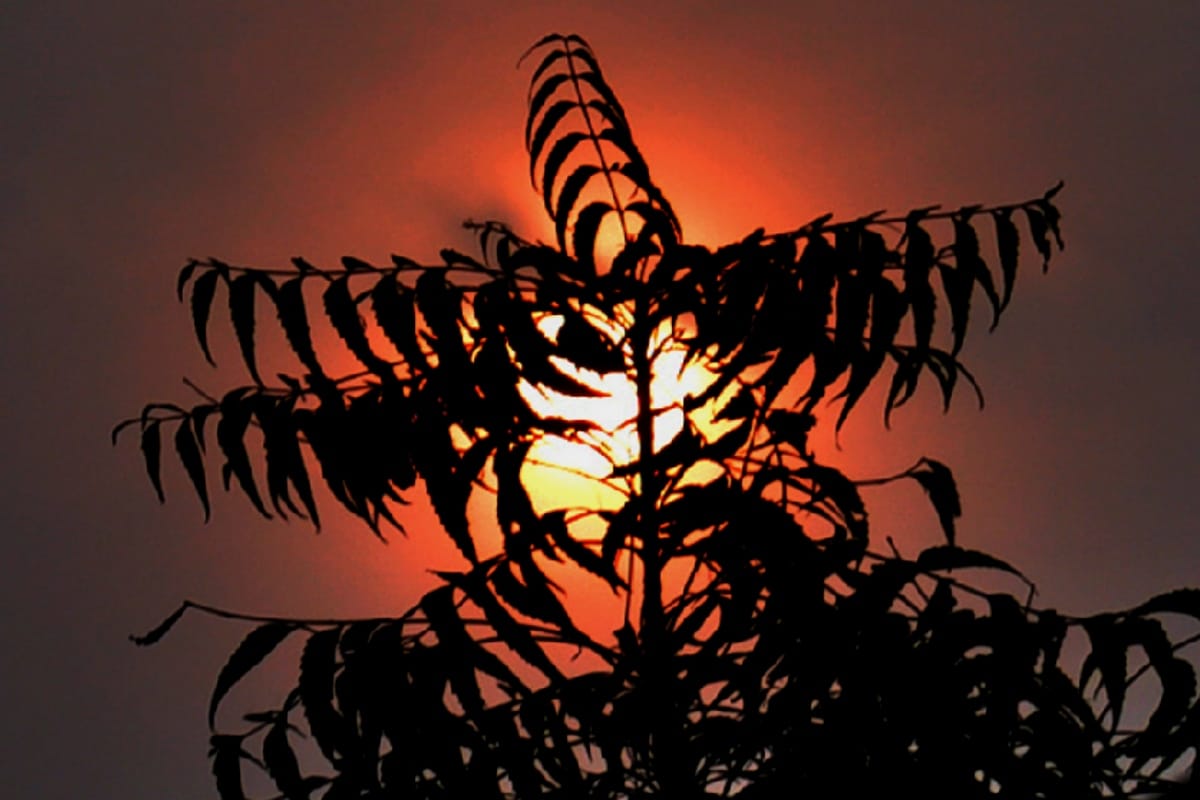 Photography: if you are a photography lover these amazing pictures will make your Day