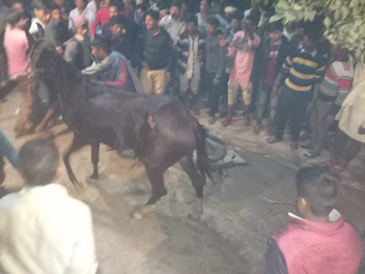 Horse fall in well people Took out in bairiya ballia
