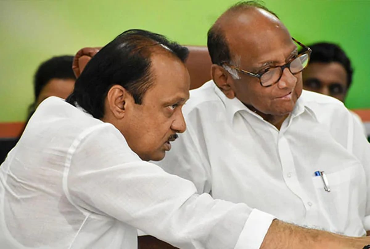 maharashtra crisis: sharad pawar vs BJP, who is winner and who is loser