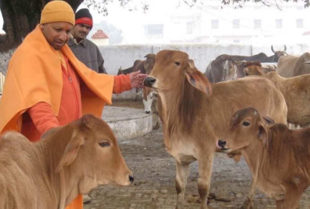 Yogi government will develop go safari in Uttar Pradesh.