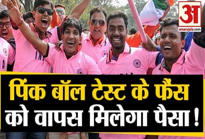 पिंक बॉल