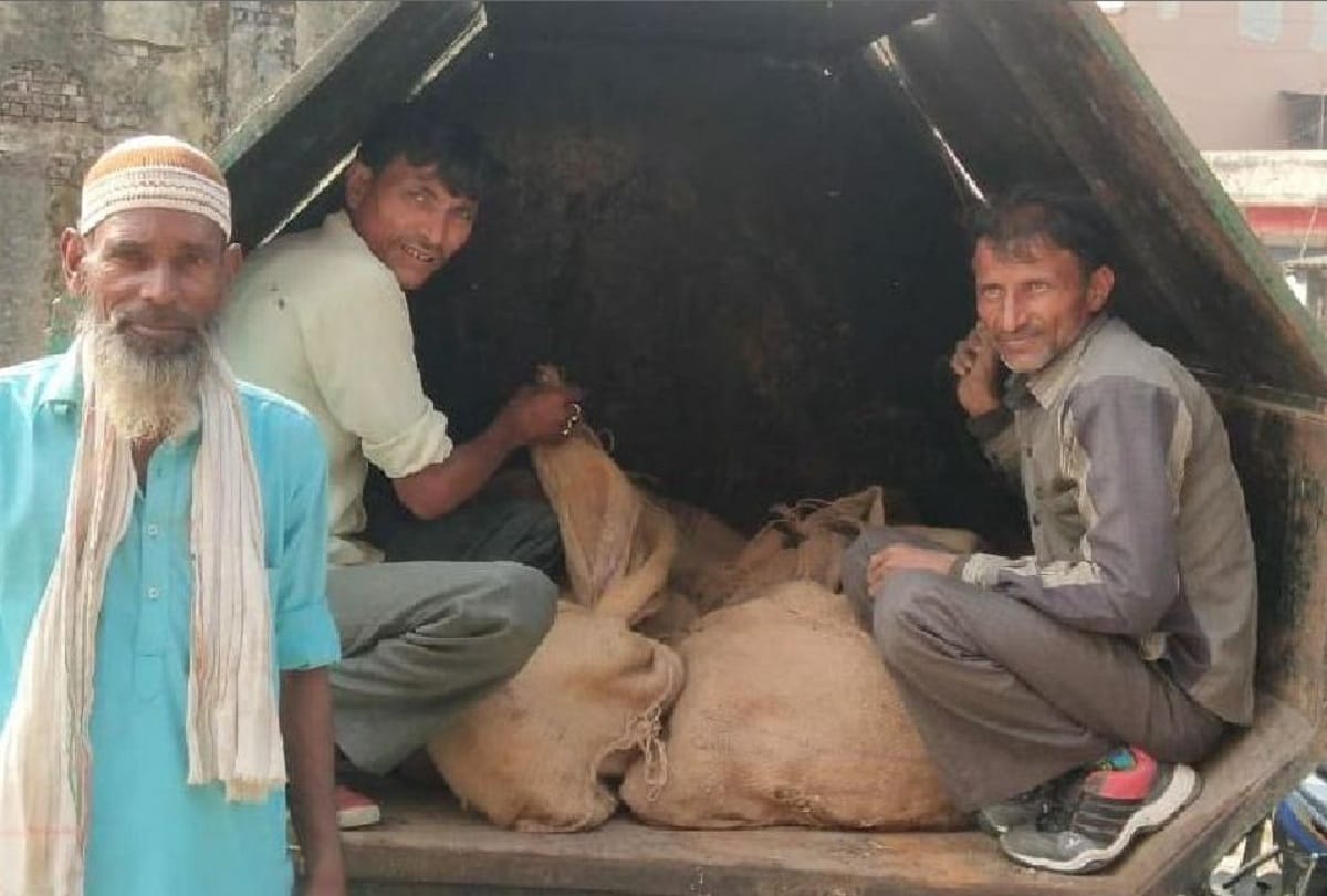 Cruelty with animals Monkeys ruthlessly caught in sacks by department