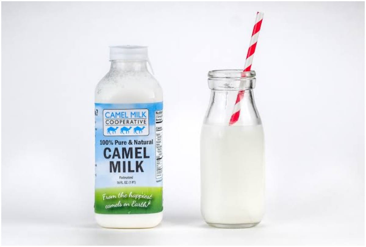 National Milk Day not even cow the animal milk is also consume