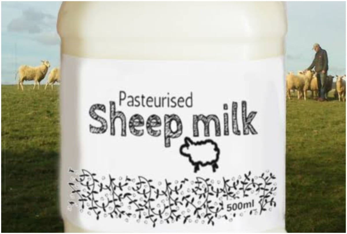 National Milk Day not even cow the animal milk is also consume