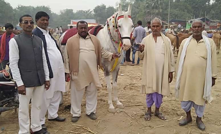 A horse of five lakhs ran at a speed of 45 kmph