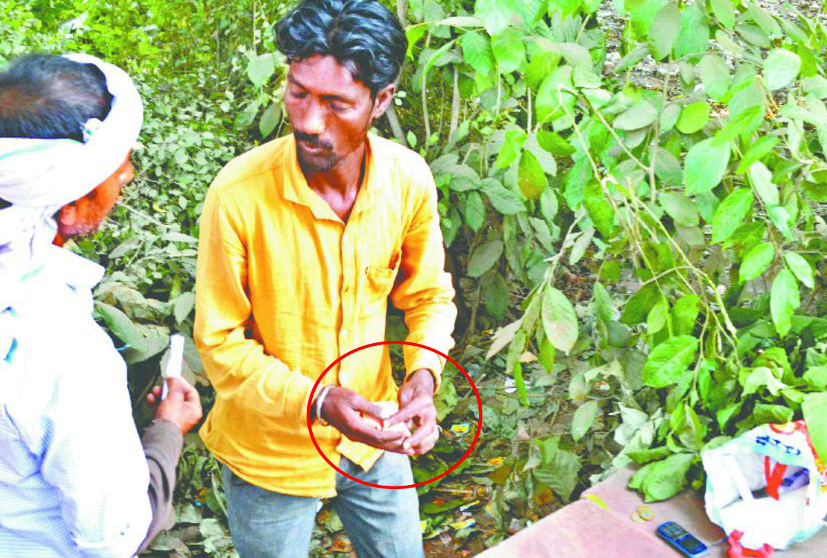 Amar Ujala Sting Operation Big Exposed Of Ganja Dealer In Agra