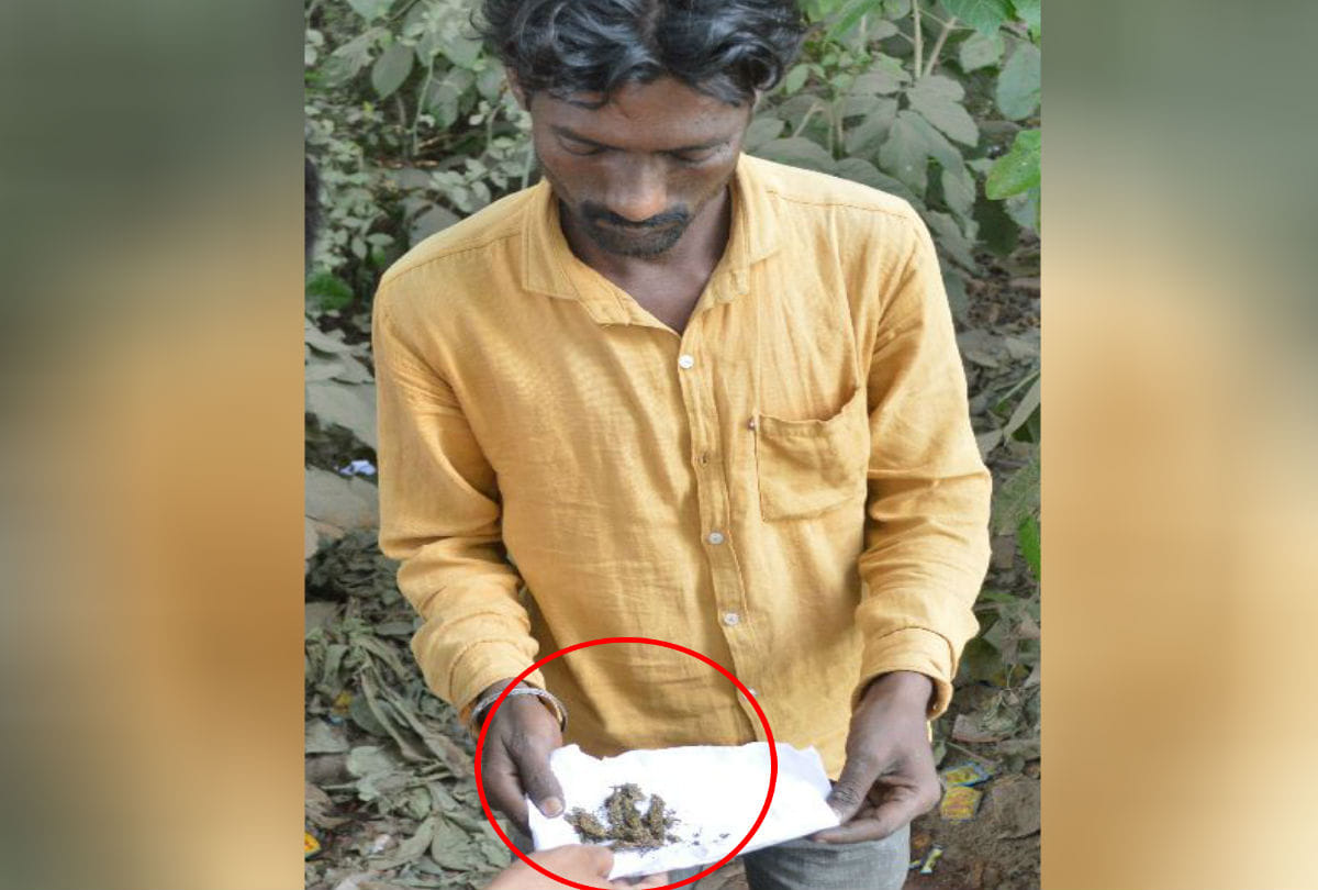 Amar Ujala Sting Operation Big Exposed Of Ganja Dealer In Agra