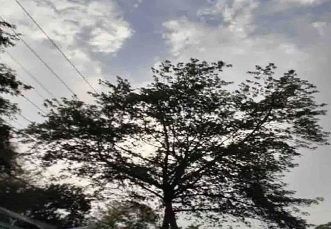 weather report, meteorological department prediction for rain in these cities of UP