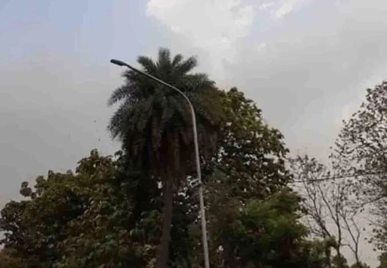 weather report, meteorological department prediction for rain in these cities of UP
