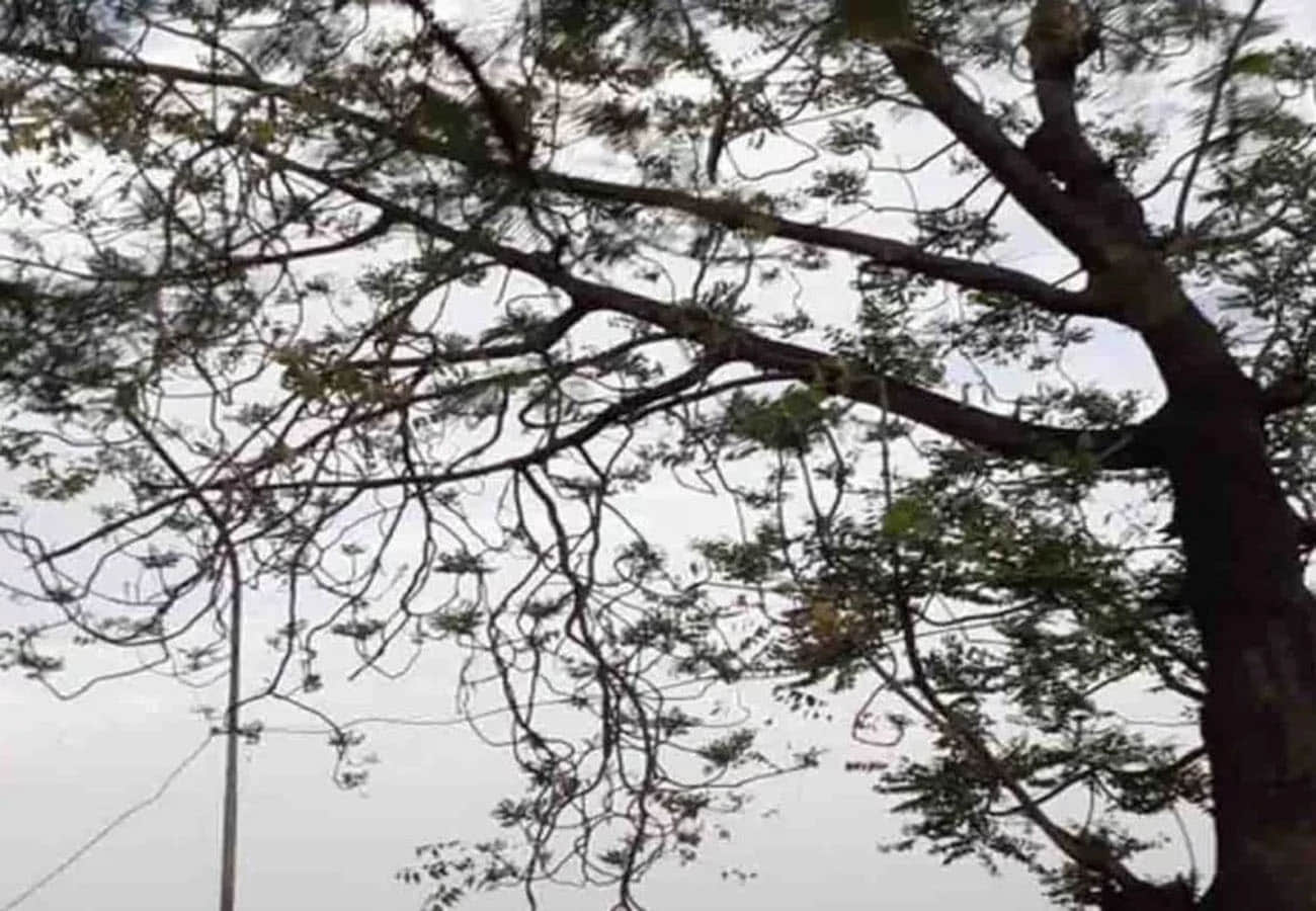 weather report, meteorological department prediction for rain in these cities of UP