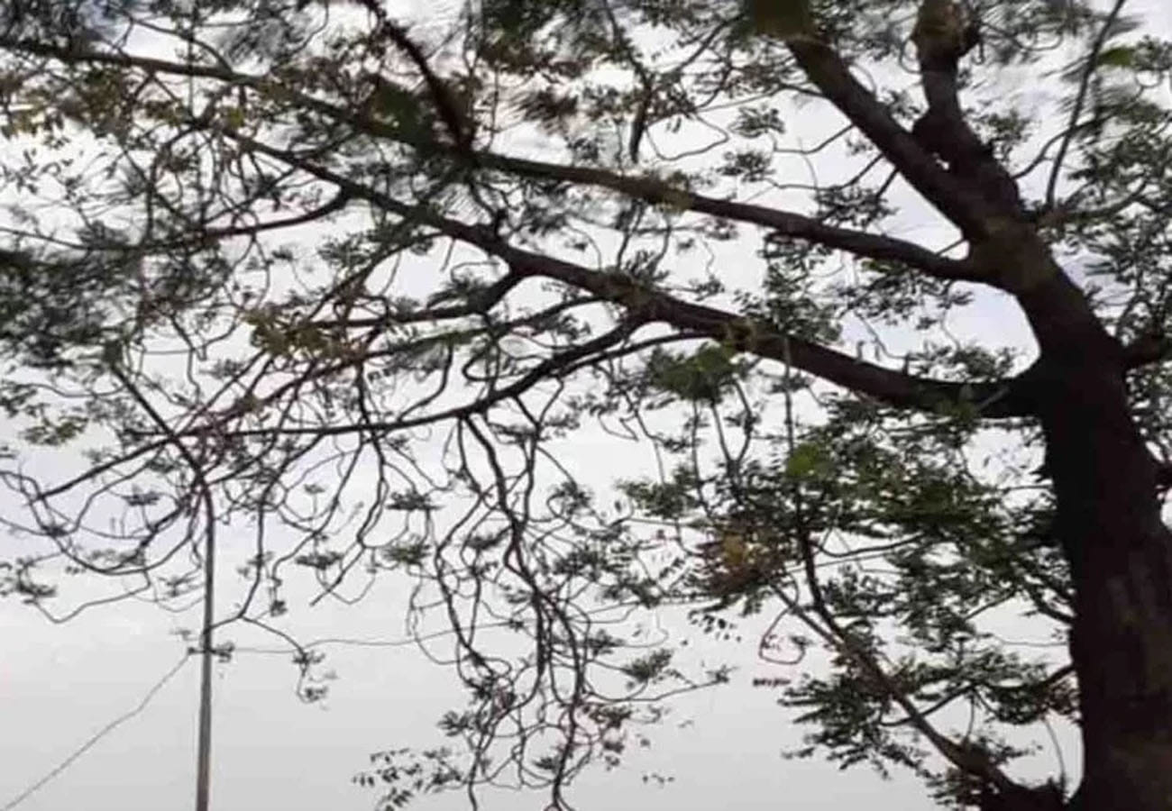 weather report, meteorological department prediction for rain in these cities of UP