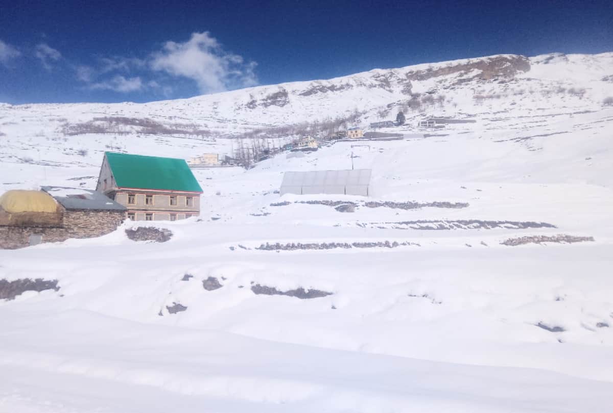 Rohtang Tunnel closed and telecommunication services stalled in lahaul valley after heavy snowfall