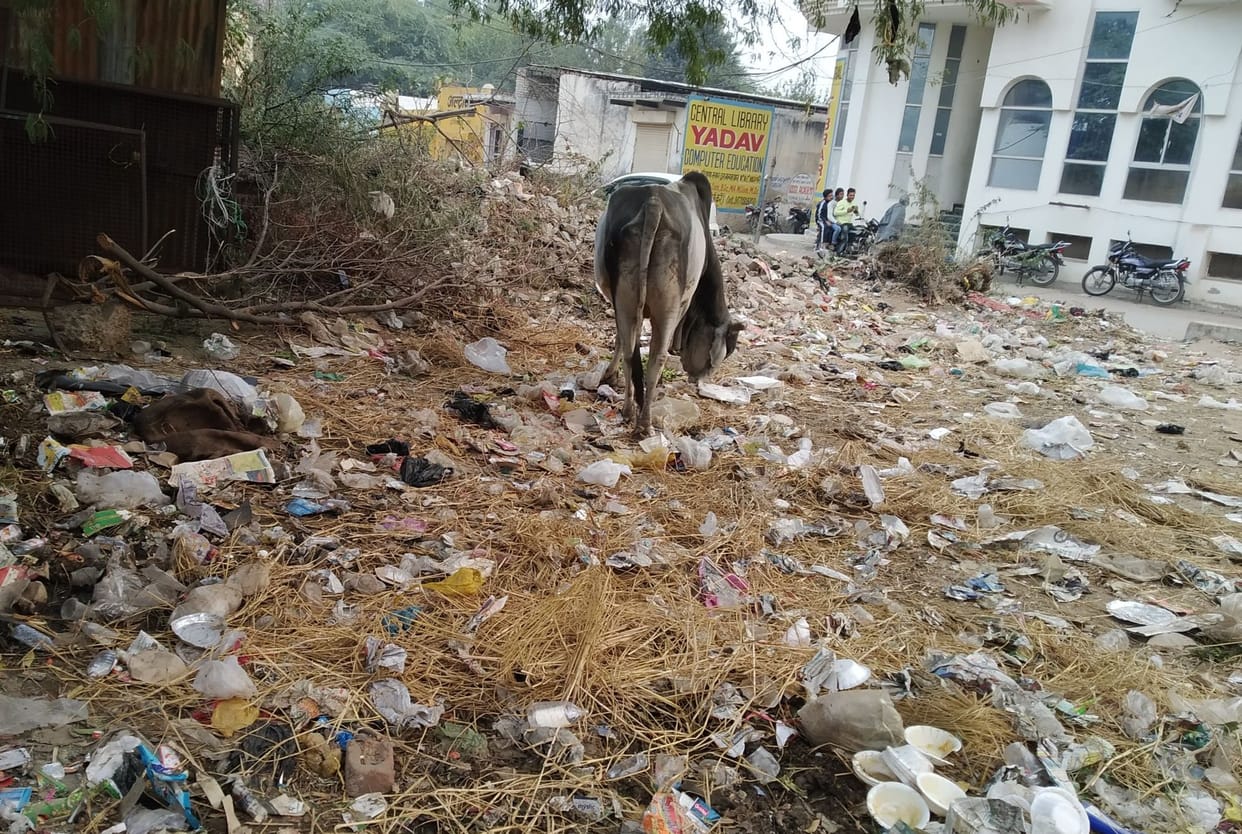 dustbin,civic,municipal commitee,issuse