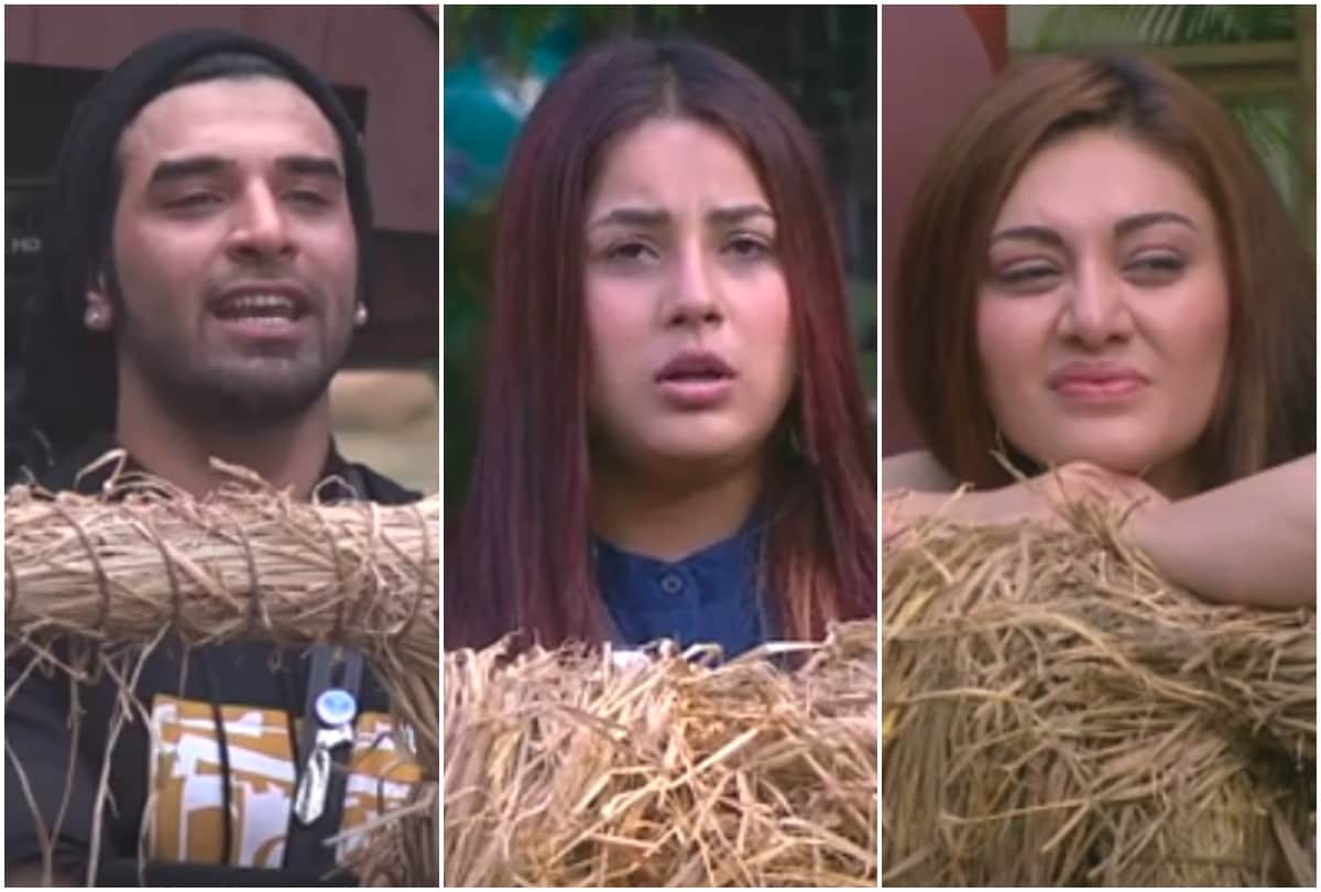 bigg boss 13 this week nominated contestant
