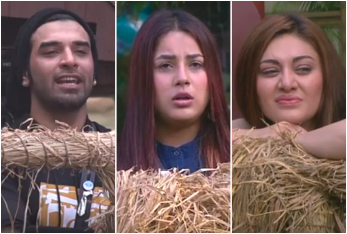 bigg boss 13 this week nominated contestant