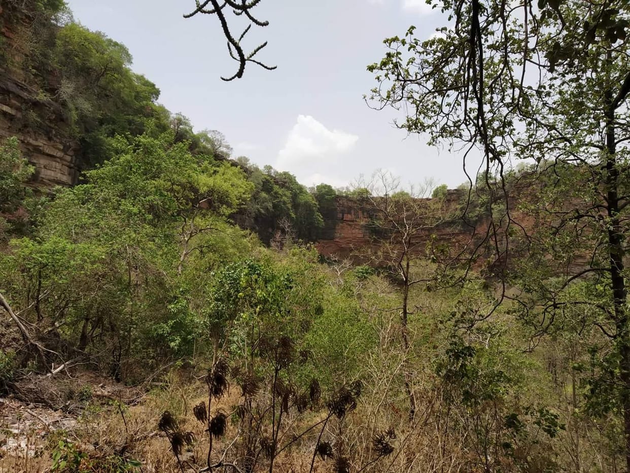 bedhak jungal in bundelkhand chitrkoot