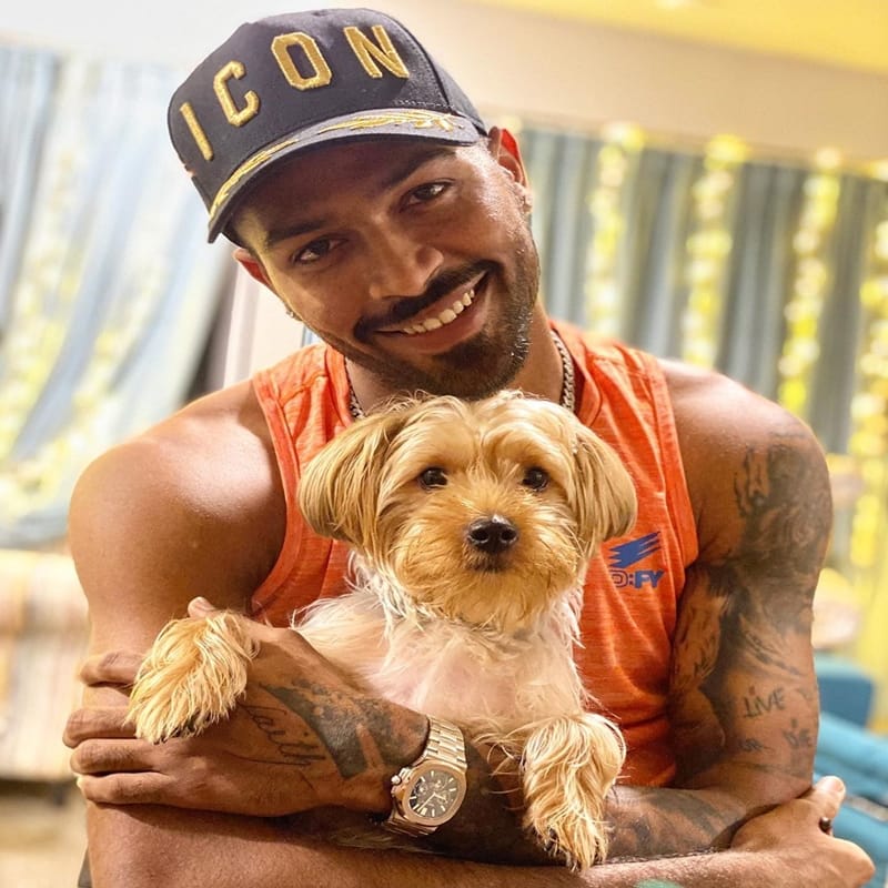 Indian cricketer Hardik Pandya gifted actress Urvashi rautela a puppy