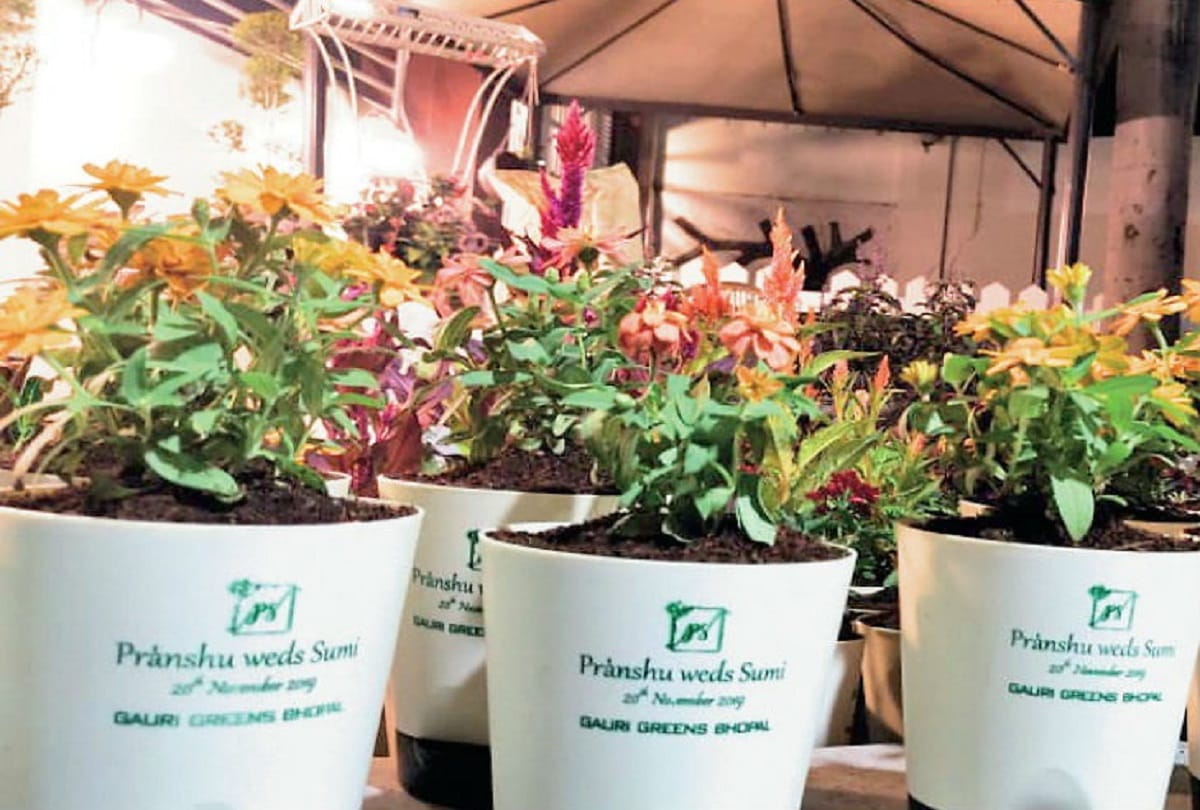 Wedding invitation sent  with 400 flower pots in Bhopal