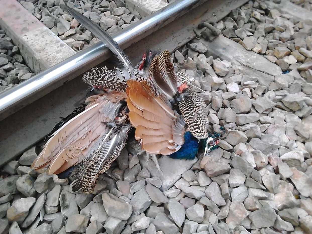kanpur dehat accident