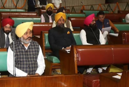 Special session of punjab assembly on Constitution Day