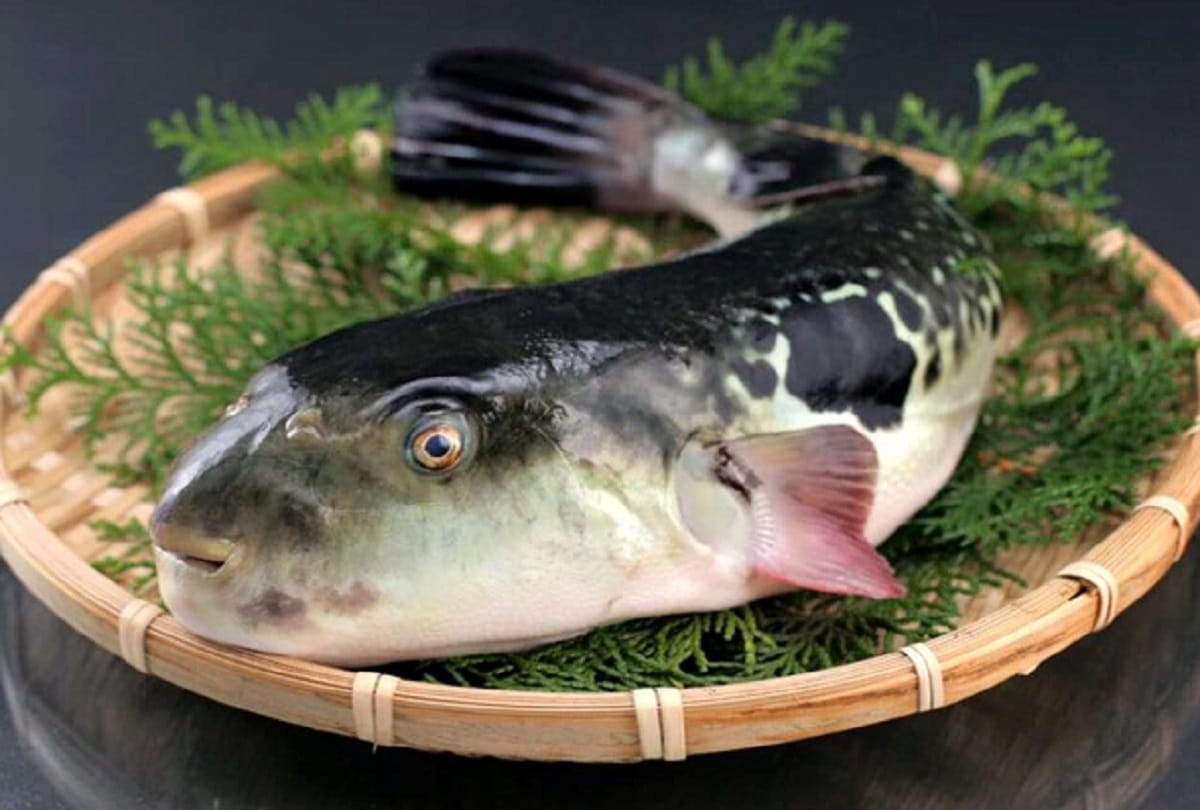 Five dangerous food items that can kill you