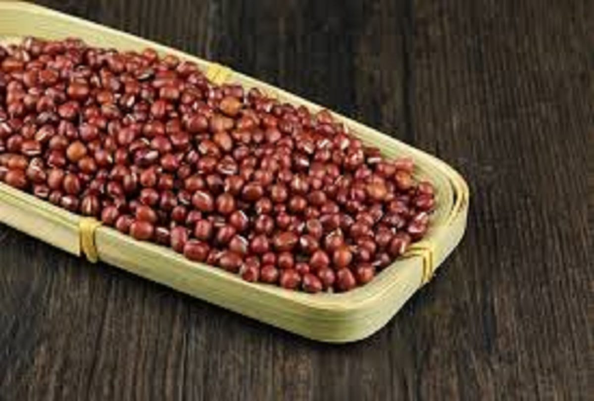 Plant Based Protein You Should Add in Your Diet Plan, best protein sources in hindi