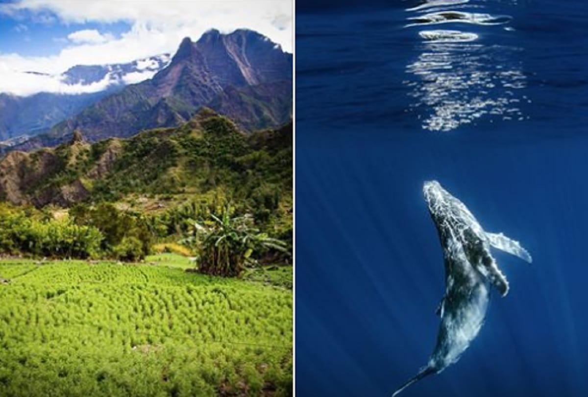 Most dangerous islands in the world Where going is quite risky