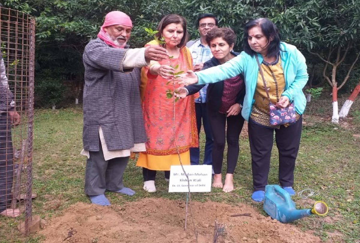 Father wanted rebirth as tree, daughters fulfilled resolve