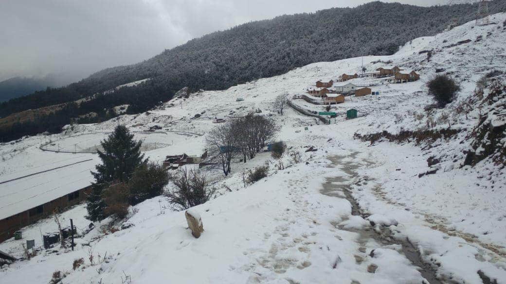 Tourists arrived in Auli in large numbers for Christmas and new year 2020 celebration