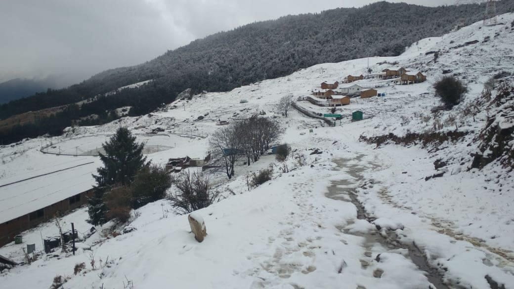 Tourists arrived in Auli in large numbers for Christmas and new year 2020 celebration