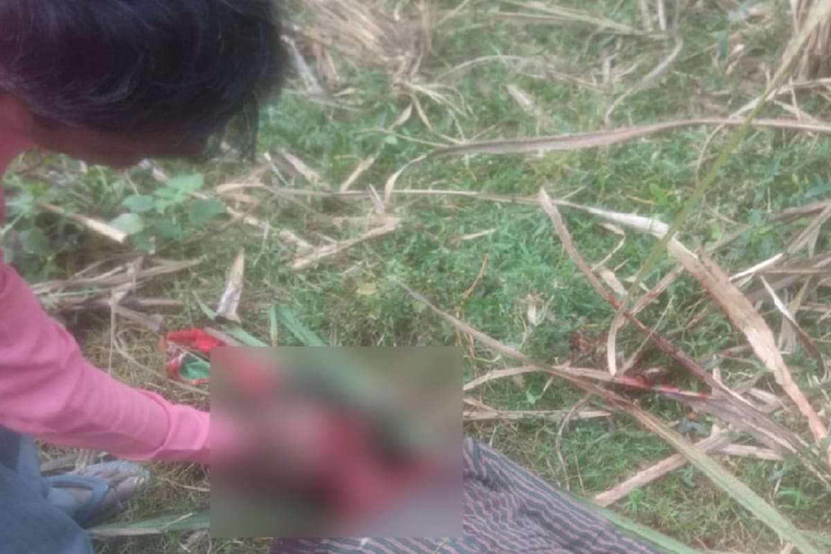 A woman killed in guldar attack in Bijnor district of Uttar Pradesh