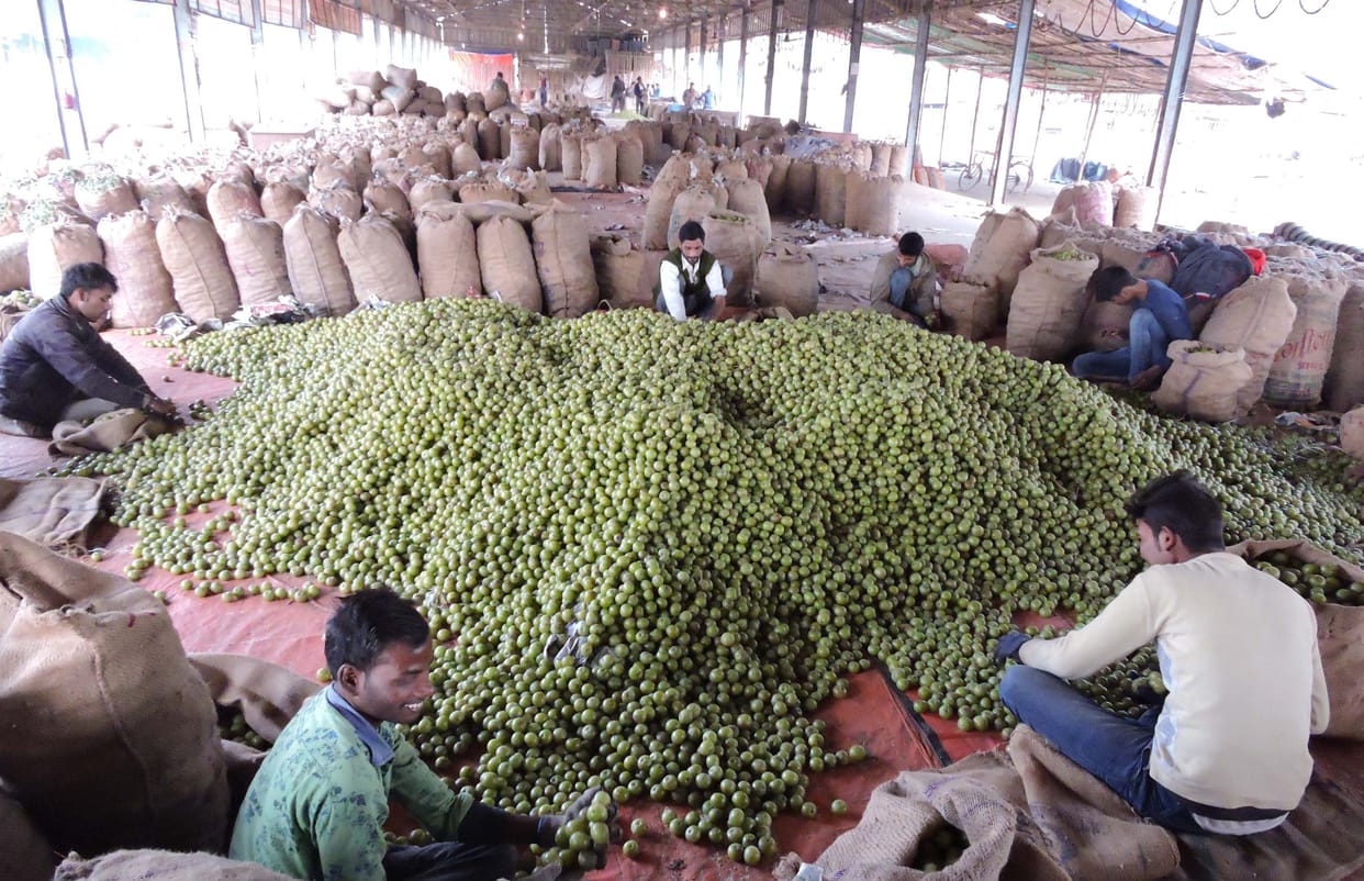 Pratapgarh: Amla prasad will be available in Tirupati Balaji, Shirdi and Kashi