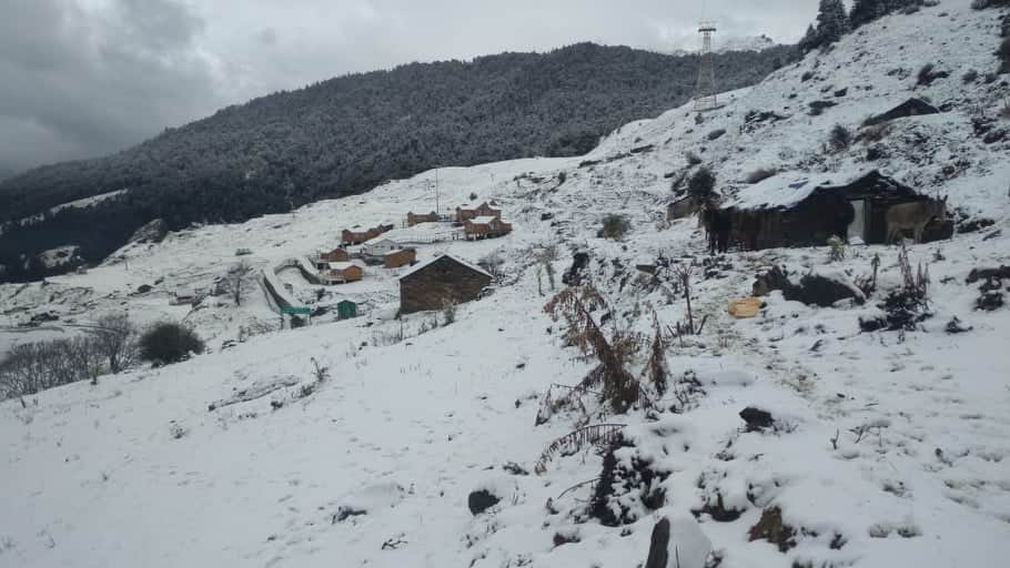 Heavy Snowfall in Auli Tourist Happy to see Snow see awesome photos