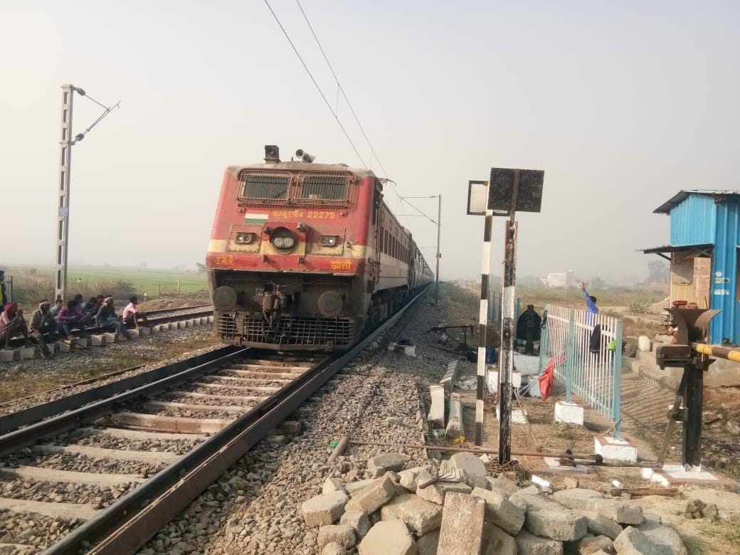 Intercity express stalled due to cattle