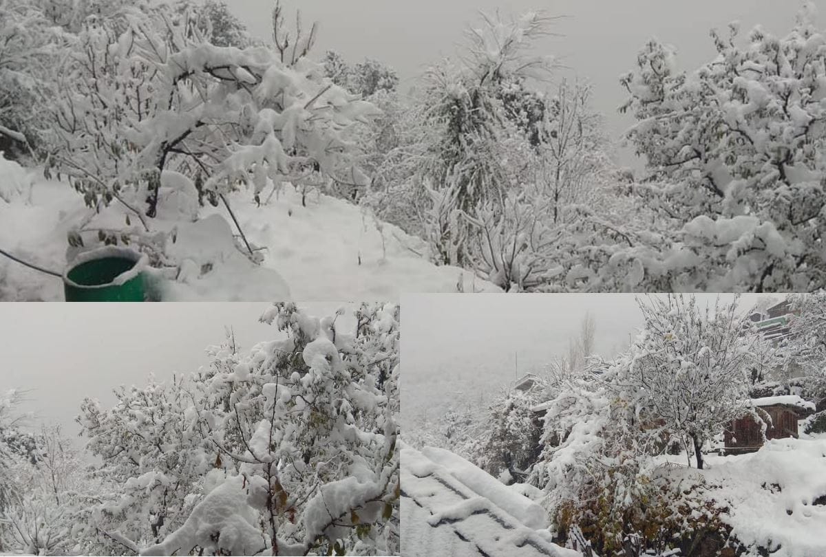 three feet heavy snowfall Rakcham kinnaur holiday decalred in schools by DC