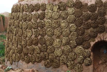 Dung cake or Gobar Upla will be bought by Himachal Pradesh Milkfed