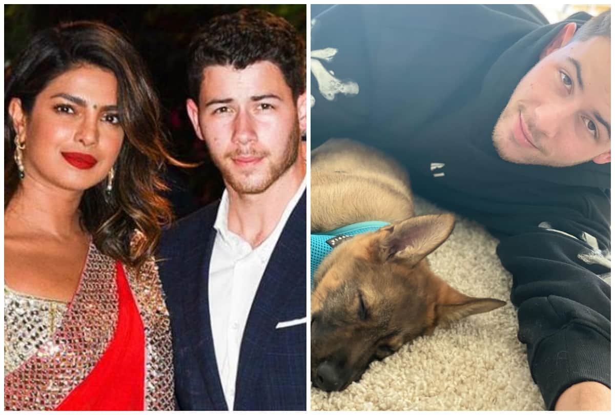 Priyanka Chopra gifted cute dog to Nick Jonas ahead of first wedding anniversary