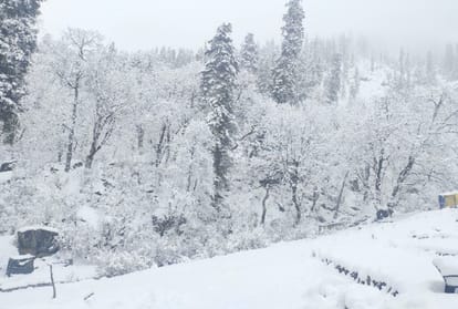 First snowfall of season in Shimla district,150 roads including two NHs closed