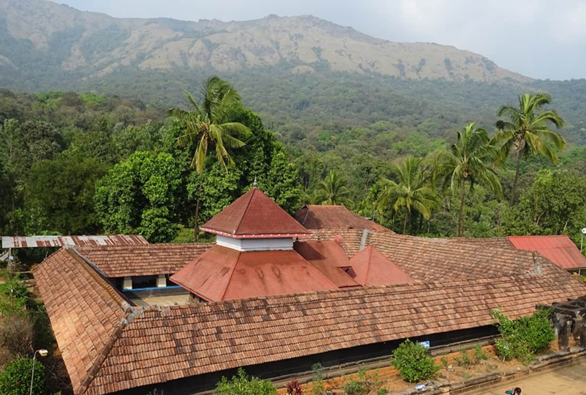 Best Tourist Places to Visit in Wayanad Kerala Rahul Gandhi Constituency