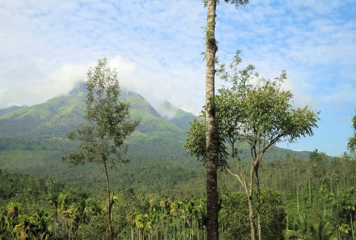 Best Tourist Places to Visit in Wayanad Kerala Rahul Gandhi Constituency