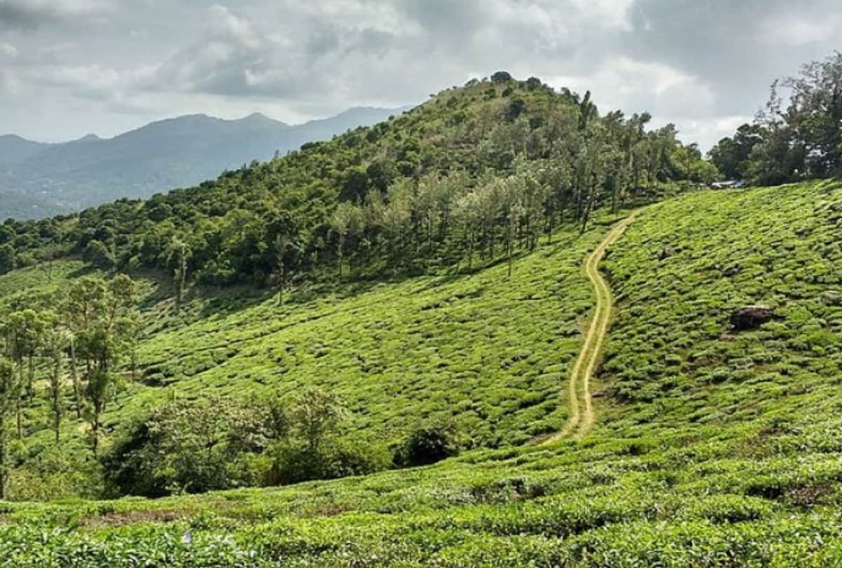 Best Tourist Places to Visit in Wayanad Kerala Rahul Gandhi Constituency