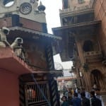 लंगूरों की टीम रही तैनात