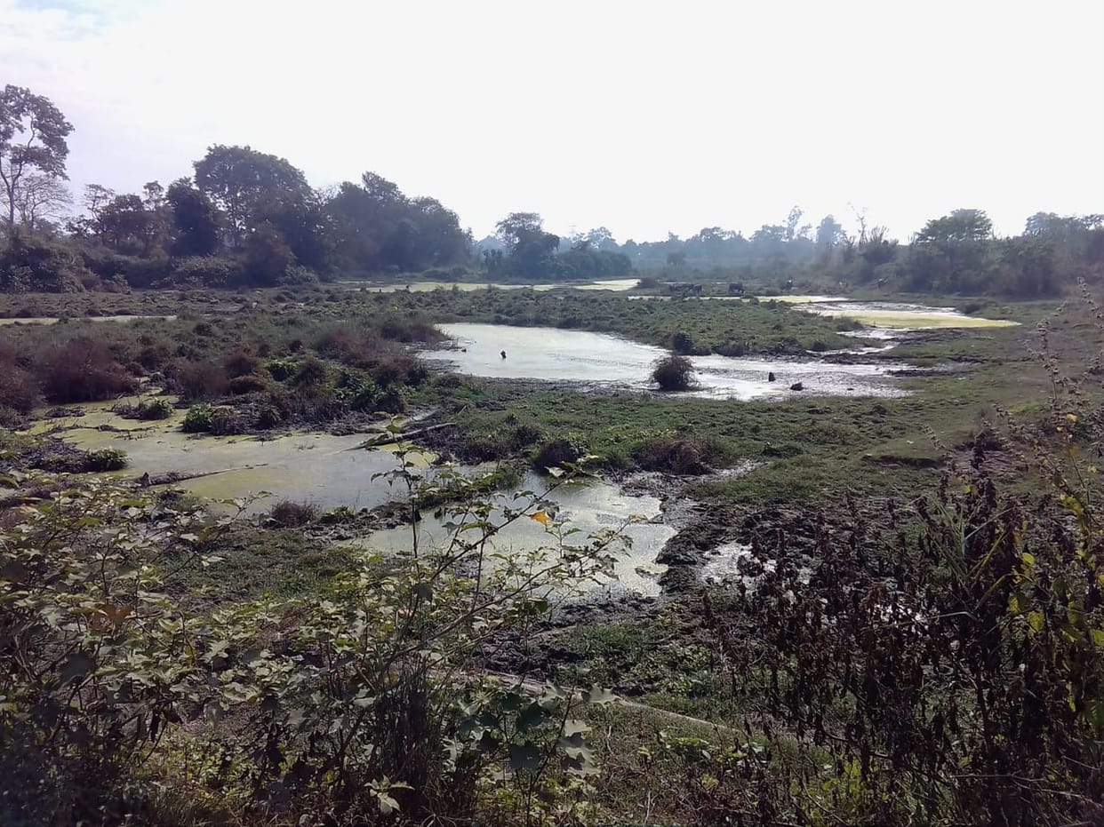 Chemical water of factories flowing in villages adjacent to SIDCUL