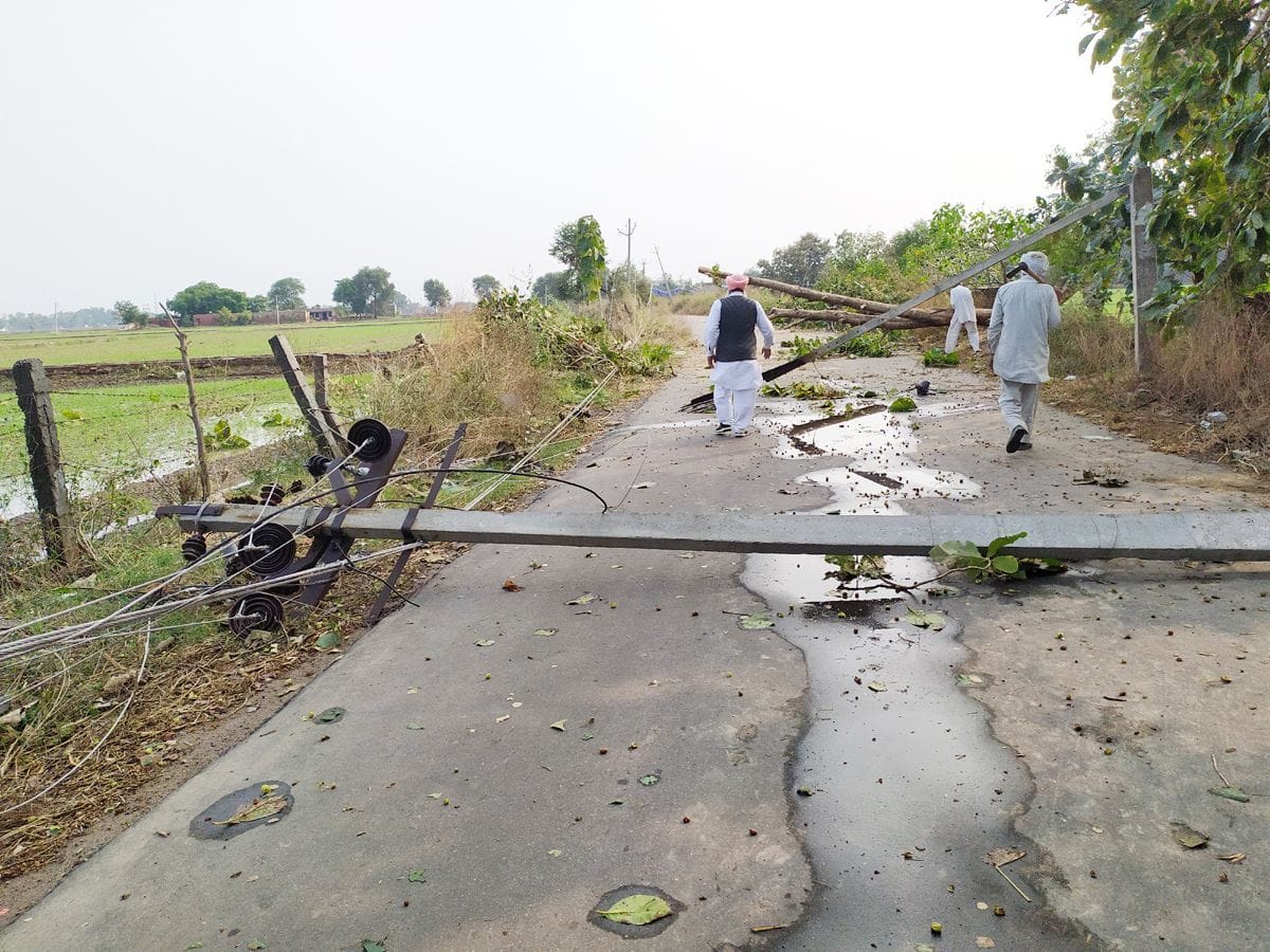 Crop in 17 villages destroyed due to rain and hail, weather, rain, fatehabad