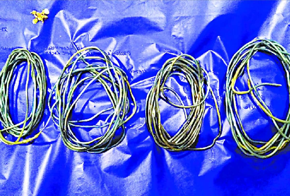 smuggler caught with 19 lakh rupees gold at amausi airport